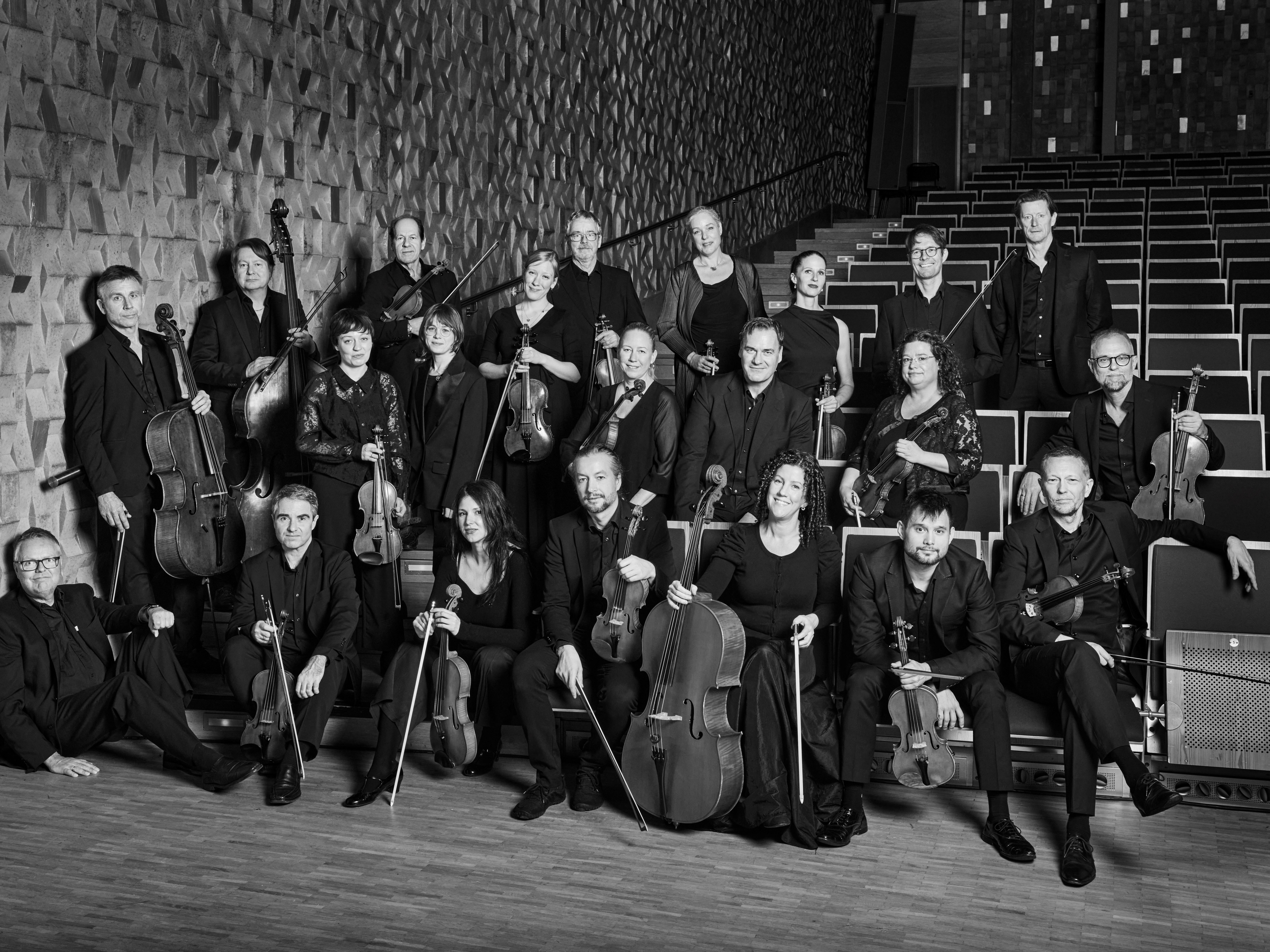 Norrbottens Kammarorkester (3)